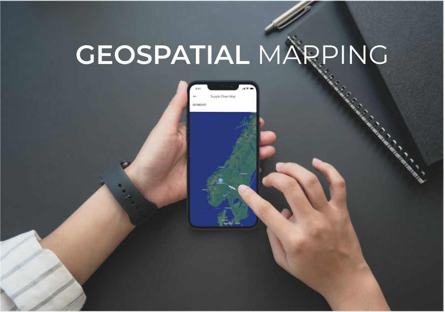 geospatial mapping