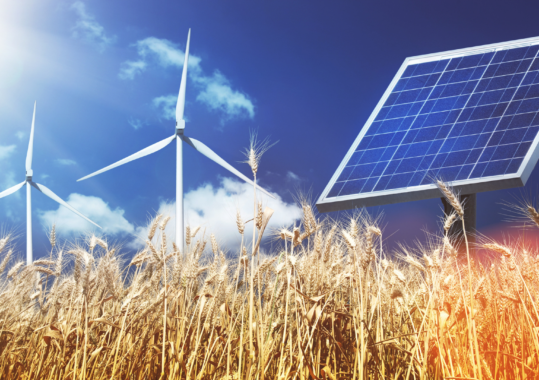 5 Global Power and Renewable Energy Trends to Watch out for in 2022